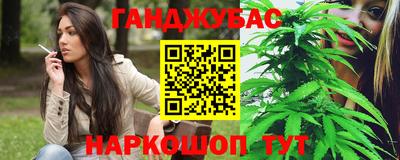 Альфа ПВП Малгобек