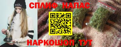 Альфа ПВП Малгобек