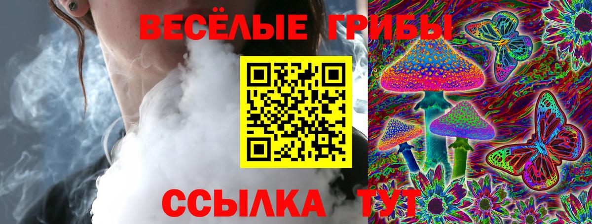 Галлюциногенные грибы прущие грибы  Псилоцибиновые грибы MAGIC MUSHROOMS  Вход с VPN  Карабулак 